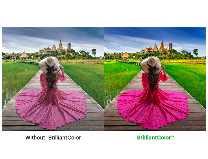 DLP Darkchip3 & BrilliantColor Technology