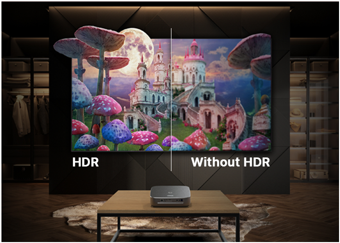 支持 4K & HDR 技术