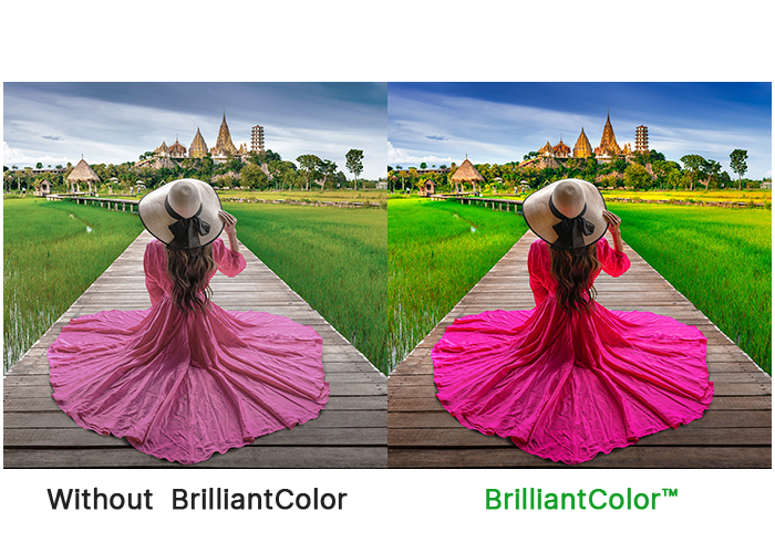 DLP 及 BrilliantColor 技术