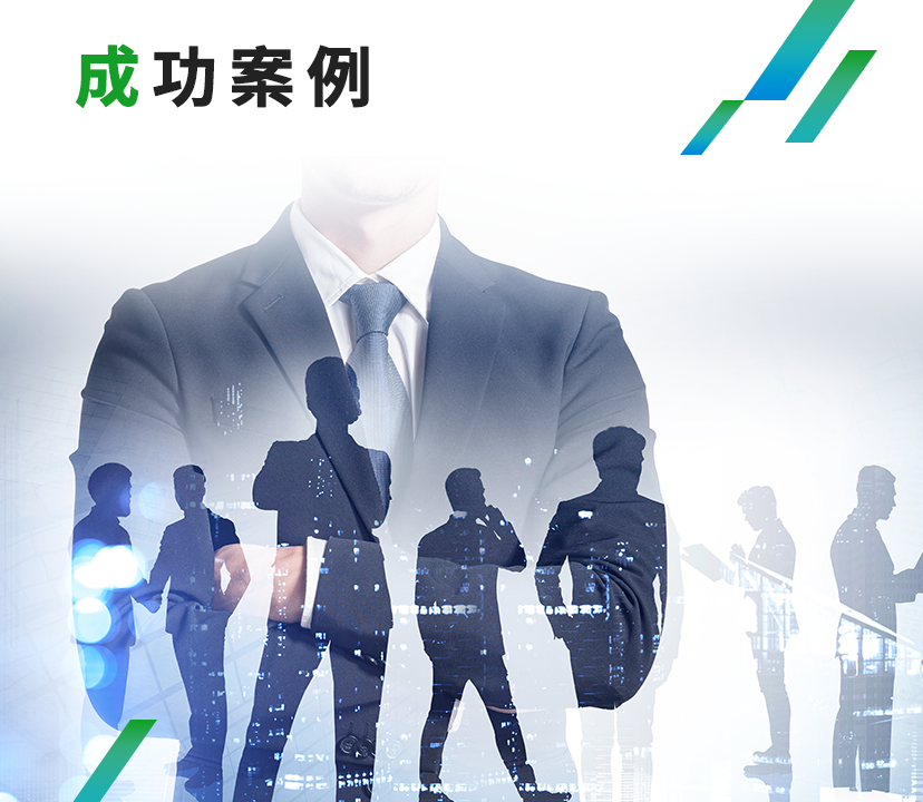 成功案例